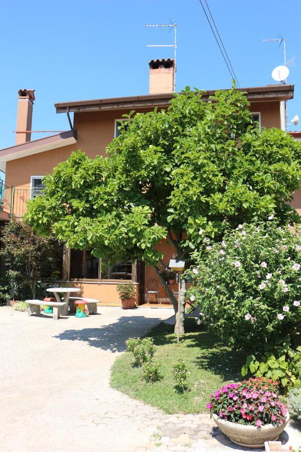 Apartamento Casa Flora Treppo Grande Exterior foto